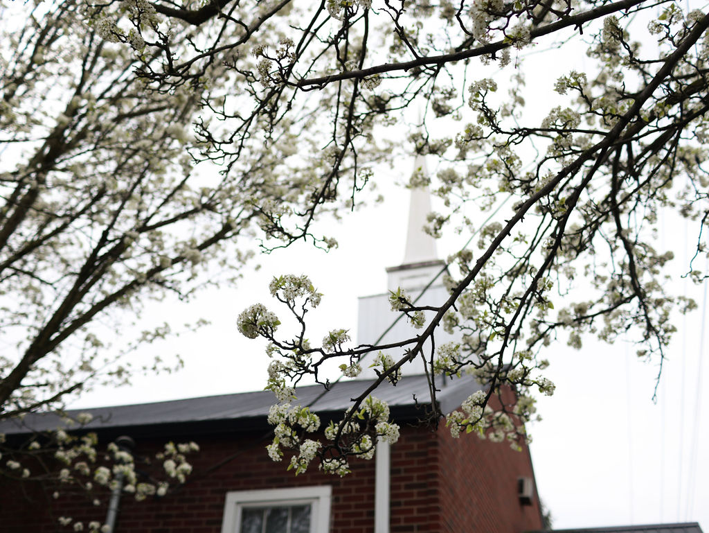 Continuing the Great Work of Jesus Christ on Earth